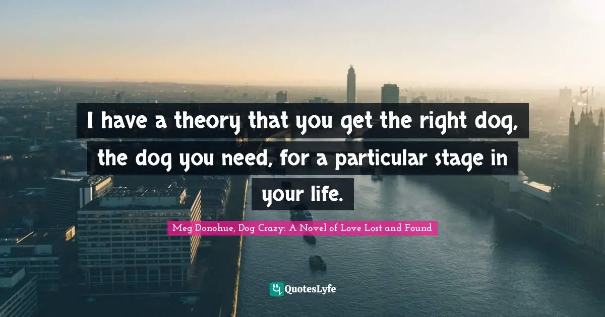 I have a theory that you get the right dog, the dog you need, for a particular stage in your life.