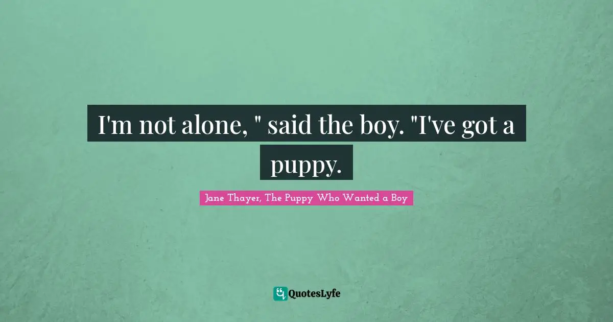 I'm not alone, " said the boy. "I've got a puppy.