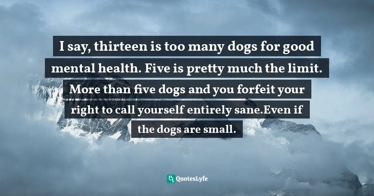 I say, thirteen is too many dogs for good mental health. Five is pretty much the limit. More than five dogs and you forfeit your right to call yourself entirely sane.Even if the dogs are small.