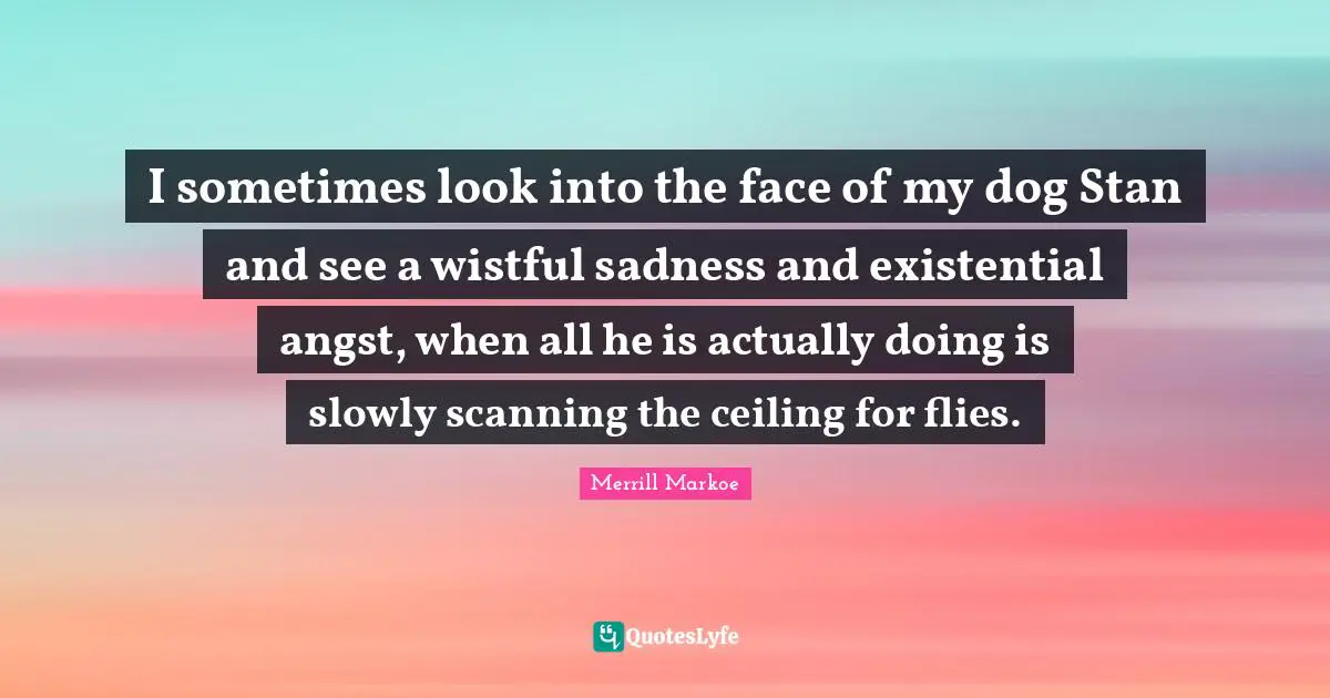 I sometimes look into the face of my dog Stan and see a wistful sadness and existential angst, when all he is actually doing is slowly scanning the ceiling for flies.