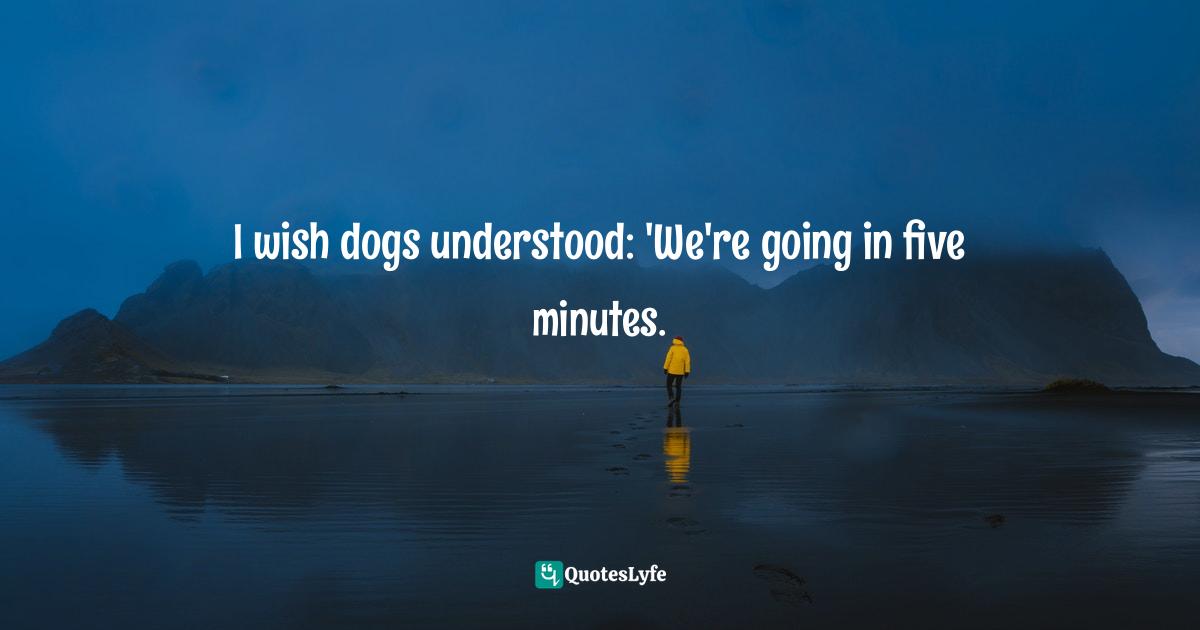 I wish dogs understood: 'We're going in five minutes.