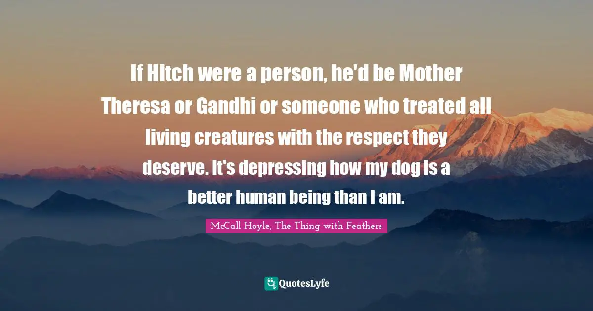 If Hitch were a person, he'd be Mother Theresa or Gandhi or someone who treated all living creatures with the respect they deserve. It's depressing how my dog is a better human being than I am.