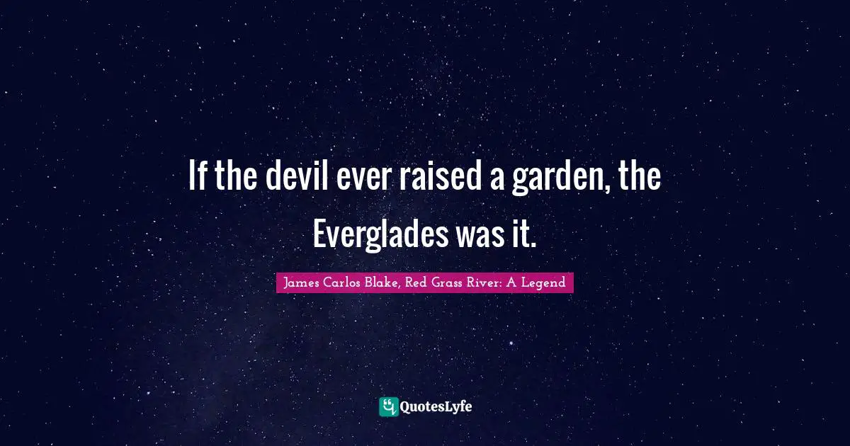 If the devil ever raised a garden, the Everglades was it.