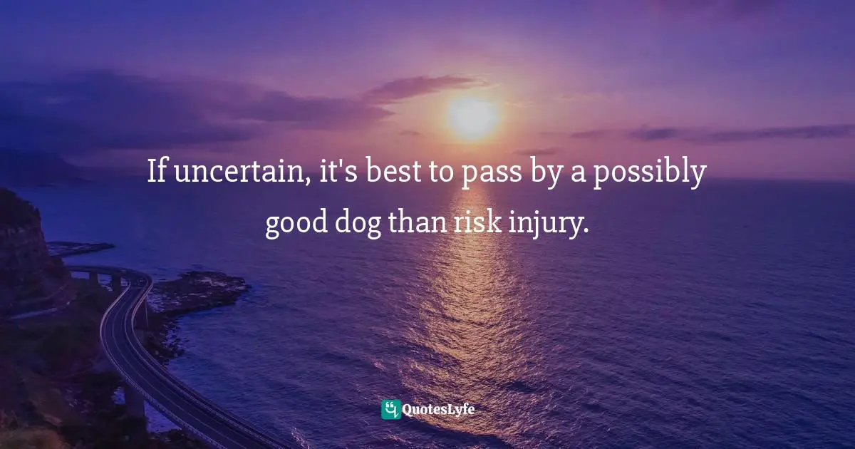 If uncertain, it's best to pass by a possibly good dog than risk injury.