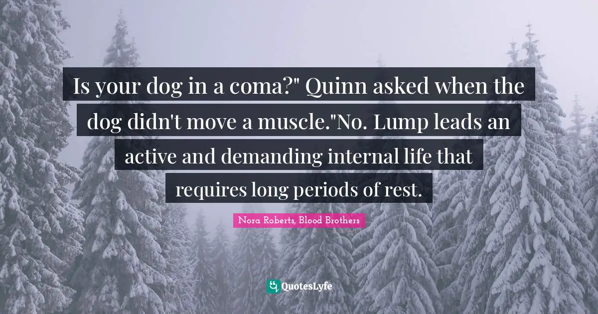 Is your dog in a coma?" Quinn asked when the dog didn't move a muscle."No. Lump leads an active and demanding internal life that requires long periods of rest.