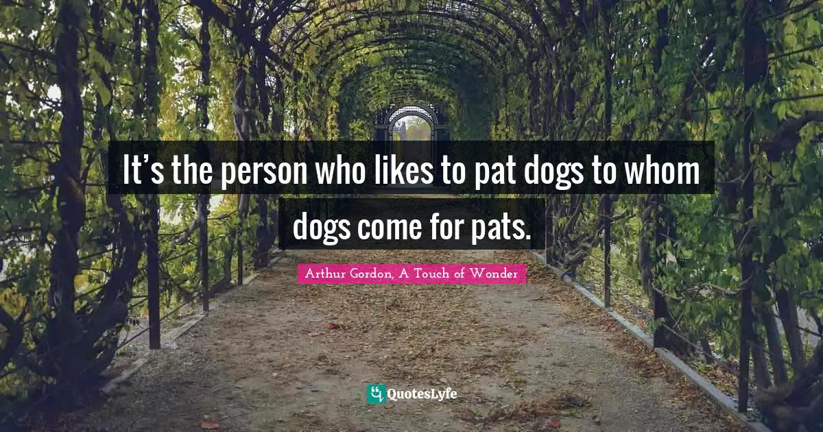 It’s the person who likes to pat dogs to whom dogs come for pats.