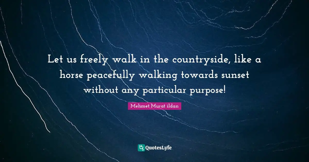 Let us freely walk in the countryside, like a horse peacefully walking towards sunset without any particular purpose!