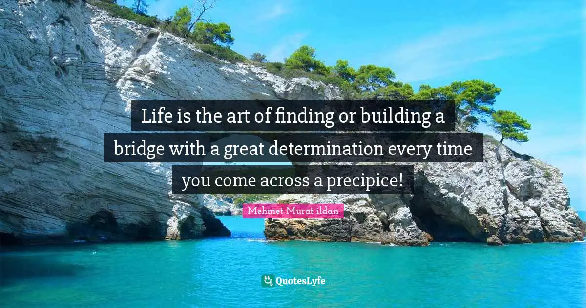 Life is the art of finding or building a bridge with a great determination every time you come across a precipice!