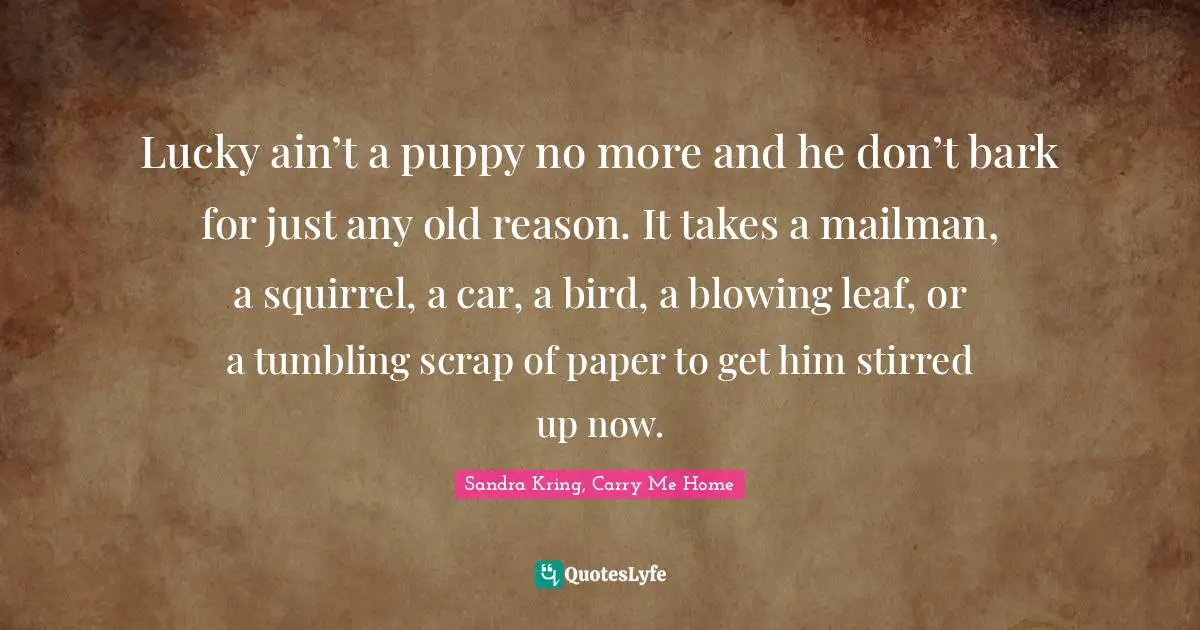 Lucky ain’t a puppy no more and he don’t bark for just any old reason. It takes a mailman, a squirrel, a car, a bird, a blowing leaf, or a tumbling scrap of paper to get him stirred up now.