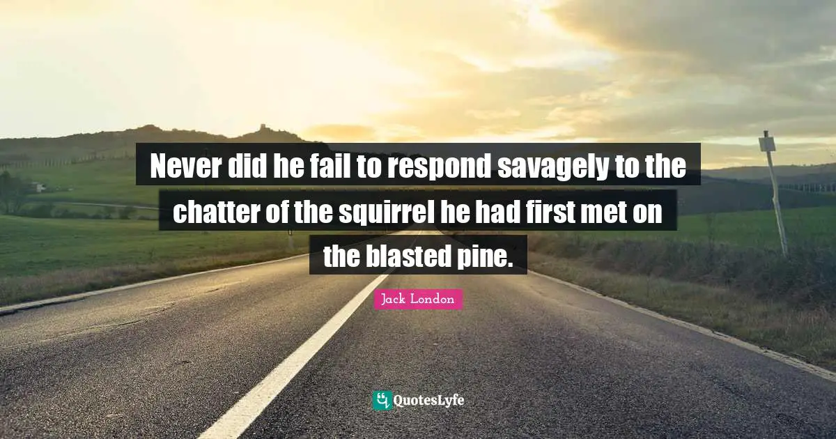 Never did he fail to respond savagely to the chatter of the squirrel he had first met on the blasted pine.
