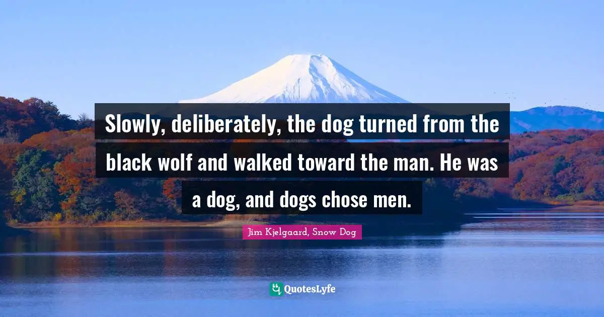 Slowly, deliberately, the dog turned from the black wolf and walked toward the man. He was a dog, and dogs chose men.