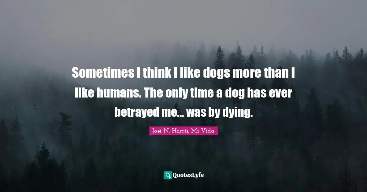 Sometimes I think I like dogs more than I like humans. The only time a dog has ever betrayed me... was by dying.