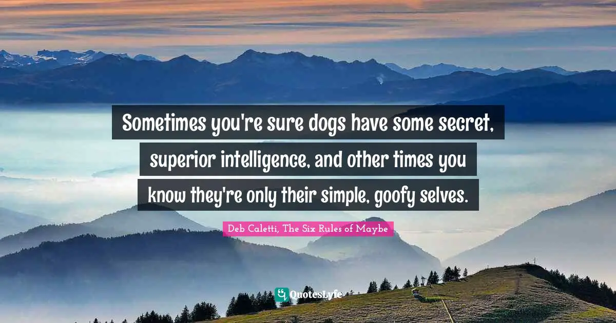 Sometimes you're sure dogs have some secret, superior intelligence, and other times you know they're only their simple, goofy selves.
