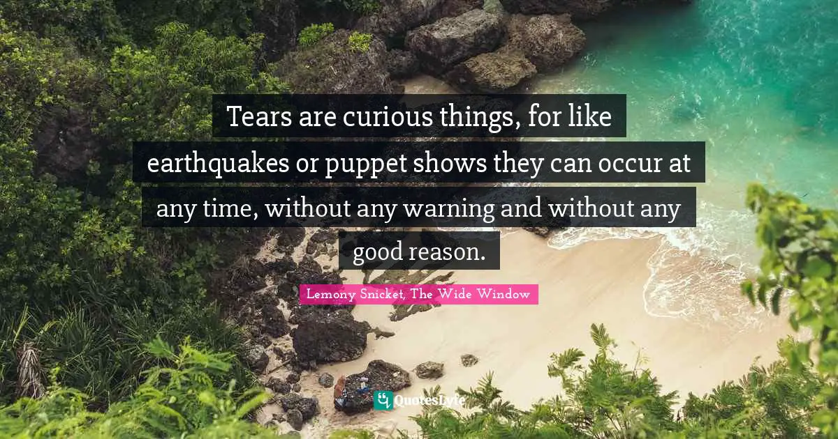 Tears are curious things, for like earthquakes or puppet shows they can occur at any time, without any warning and without any good reason.