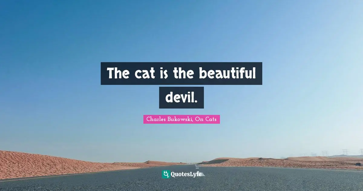 The cat is the beautiful devil.