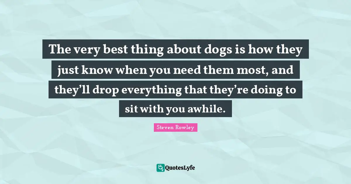 The very best thing about dogs is how they just know when you need them most, and they’ll drop everything that they’re doing to sit with you awhile.