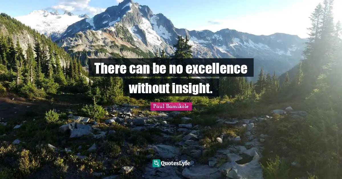 There can be no excellence without insight.