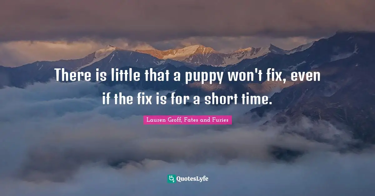 Lauren Groff, Fates And Furies Quotes: "There is little that a puppy won't fix, even if the fix is for a short time."