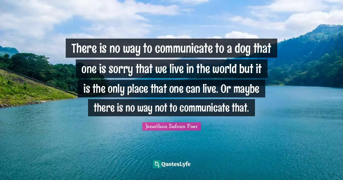 There is no way to communicate to a dog that one is sorry that we live in the world but it is the only place that one can live. Or maybe there is no way not to communicate that.