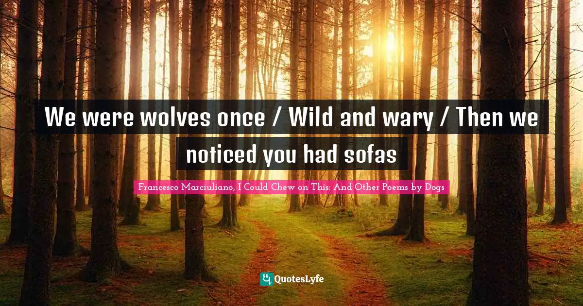 We were wolves once / Wild and wary / Then we noticed you had sofas