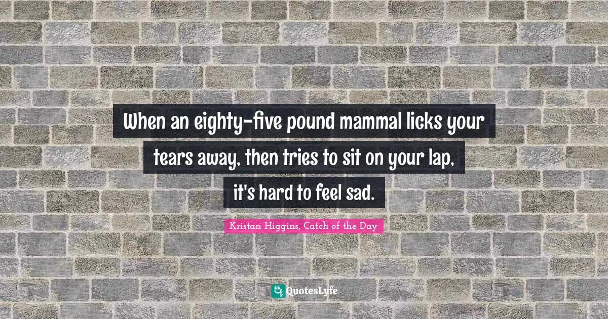 When an eighty-five pound mammal licks your tears away, then tries to sit on your lap, it's hard to feel sad.