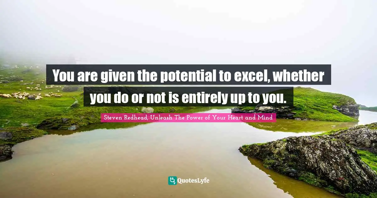 Excel Quotes: "You are given the potential to excel, whether you do or not is entirely up to you."