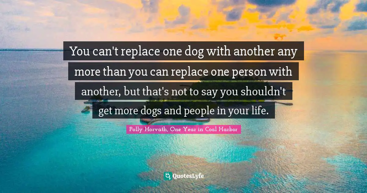 You can't replace one dog with another any more than you can replace one person with another, but that's not to say you shouldn't get more dogs and people in your life.