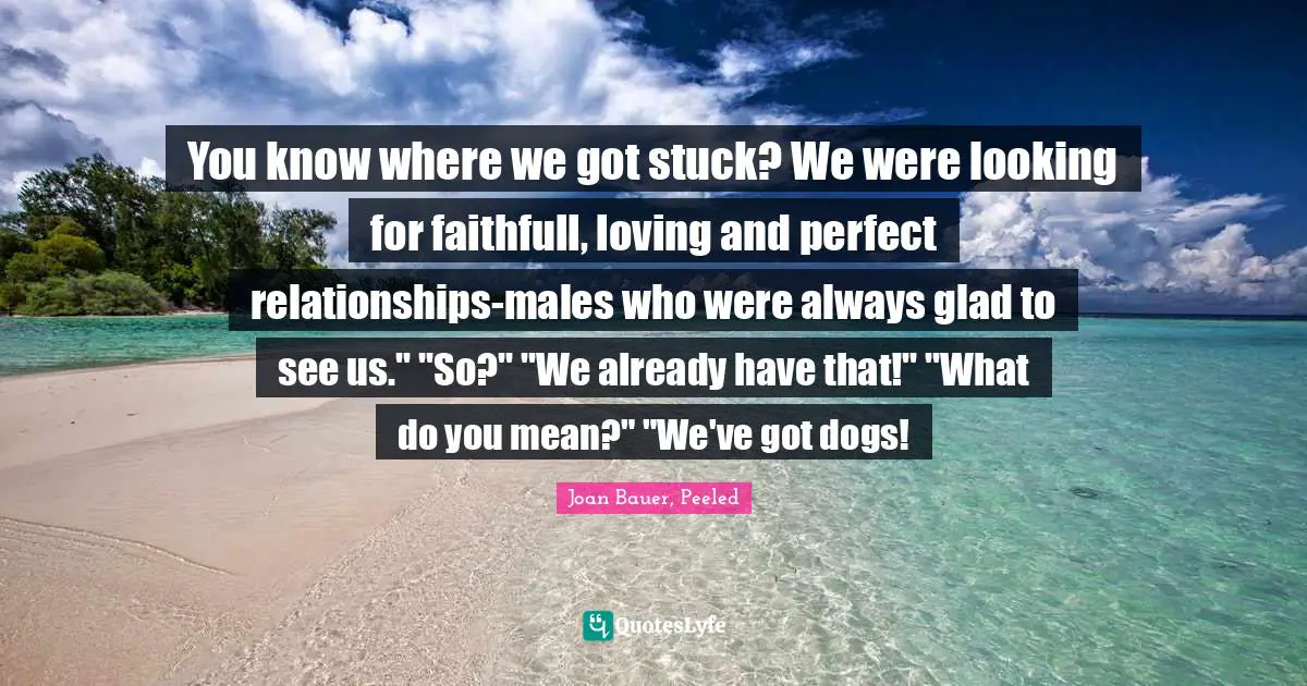 You know where we got stuck? We were looking for faithfull, loving and perfect relationships-males who were always glad to see us." "So?" "We already have that!" "What do you mean?" "We've got dogs!