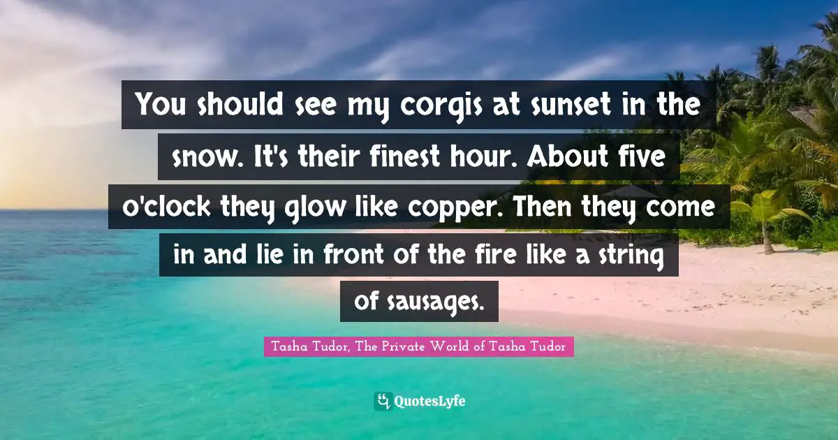 You should see my corgis at sunset in the snow. It's their finest hour. About five o'clock they glow like copper. Then they come in and lie in front of the fire like a string of sausages.