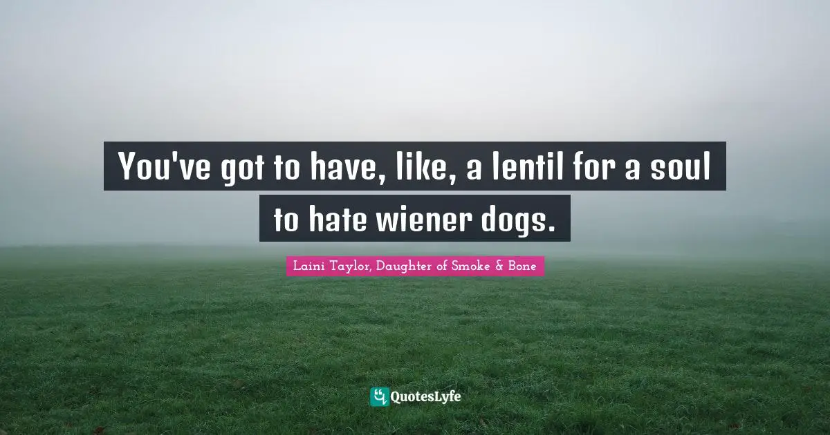 You've got to have, like, a lentil for a soul to hate wiener dogs.