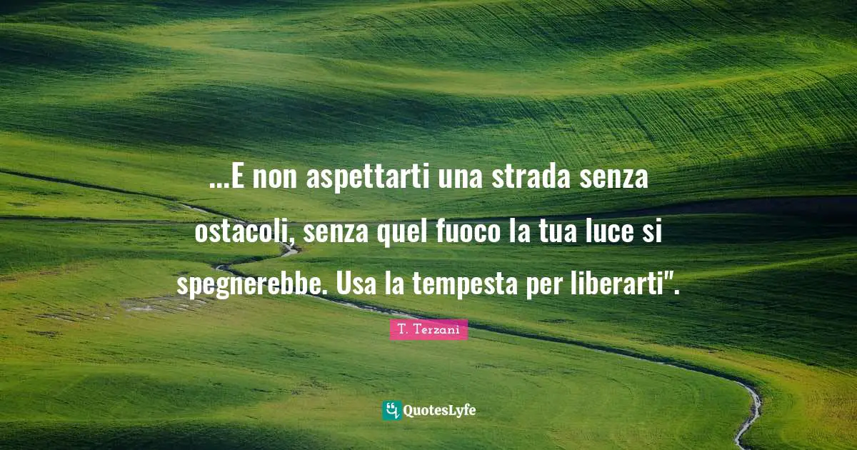 ...E non aspettarti una strada senza ostacoli, senza quel fuoco la tua luce si spegnerebbe. Usa la tempesta per liberarti".