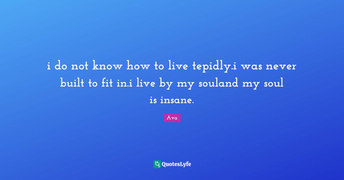 i do not know how to live tepidly.i was never built to fit in.i live by my souland my soul is insane.
