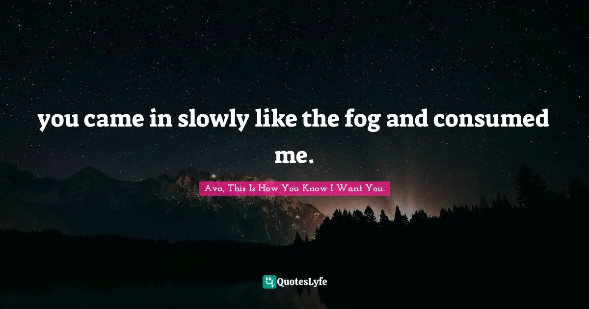 AVA., This Is How You Know I Want You. Quotes: "you came in slowly like the fog and consumed me."