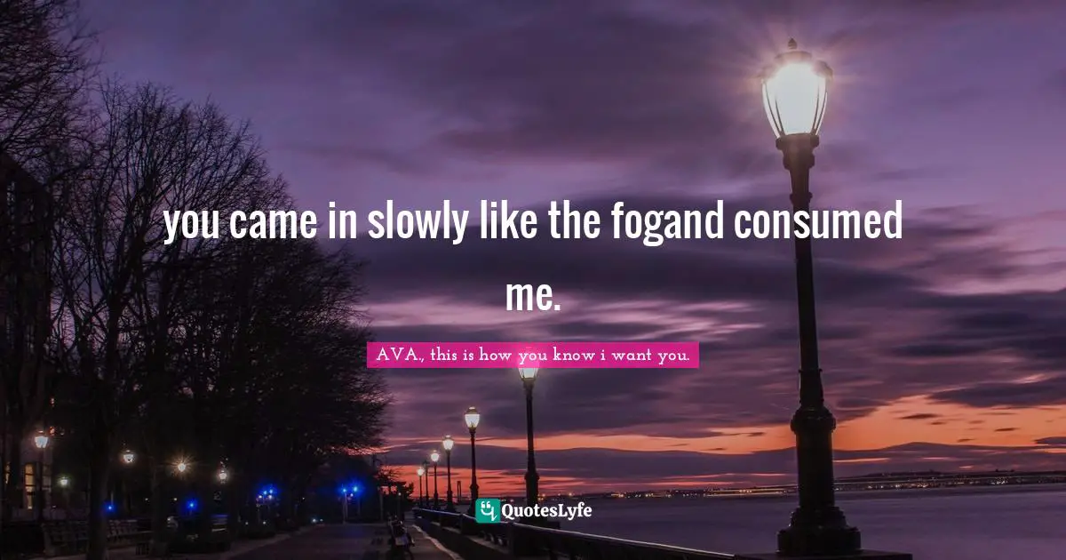AVA., This Is How You Know I Want You. Quotes: "you came in slowly like the fogand consumed me."
