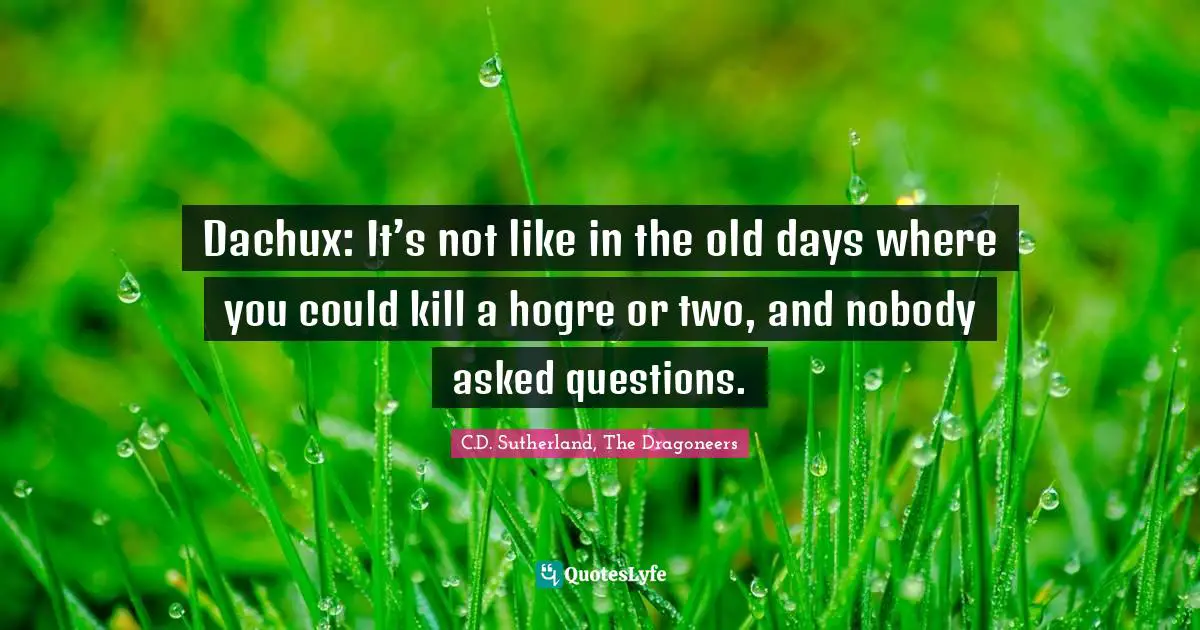 Dachux: It’s not like in the old days where you could kill a hogre or two, and nobody asked questions.