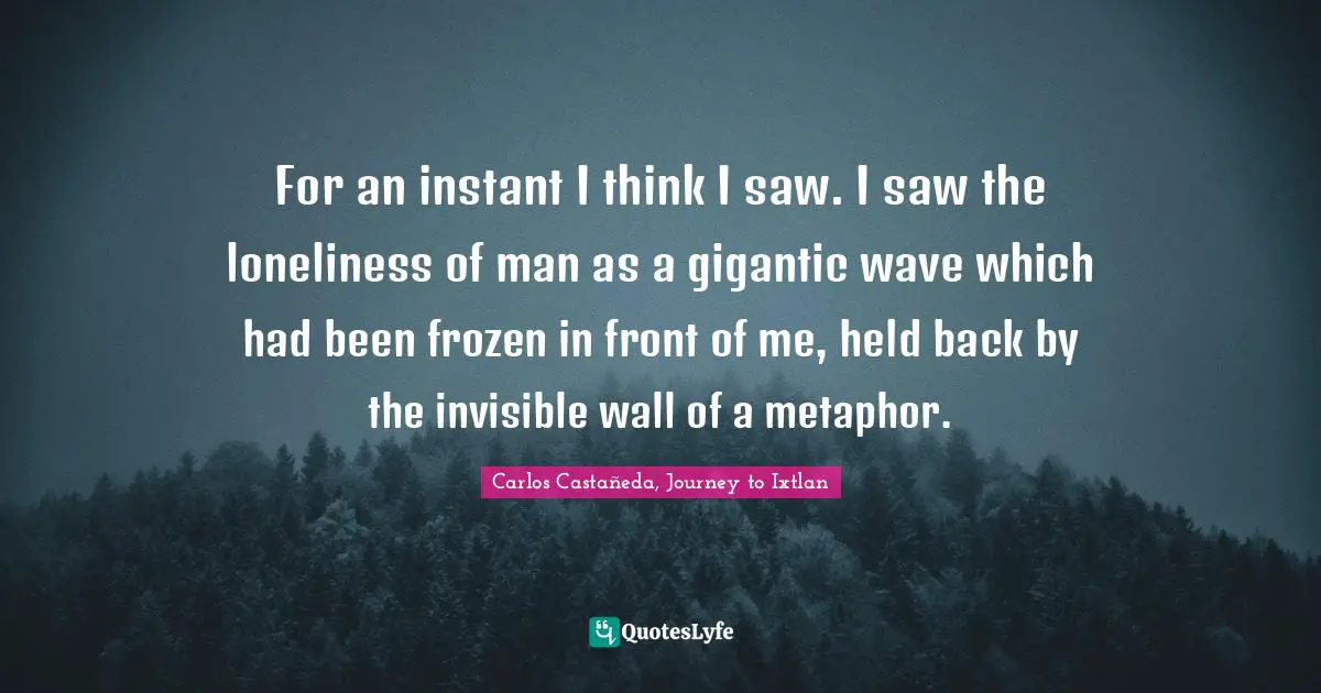 For an instant I think I saw. I saw the loneliness of man as a gigantic wave which had been frozen in front of me, held back by the invisible wall of a metaphor.