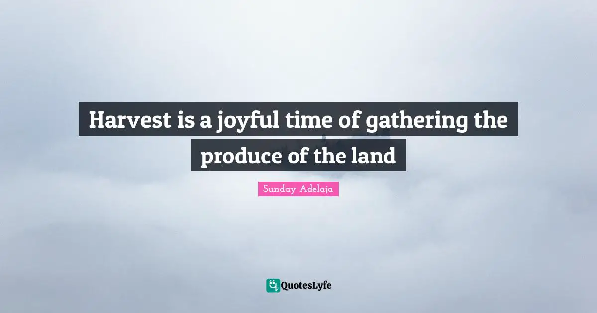 Harvest is a joyful time of gathering the produce of the land