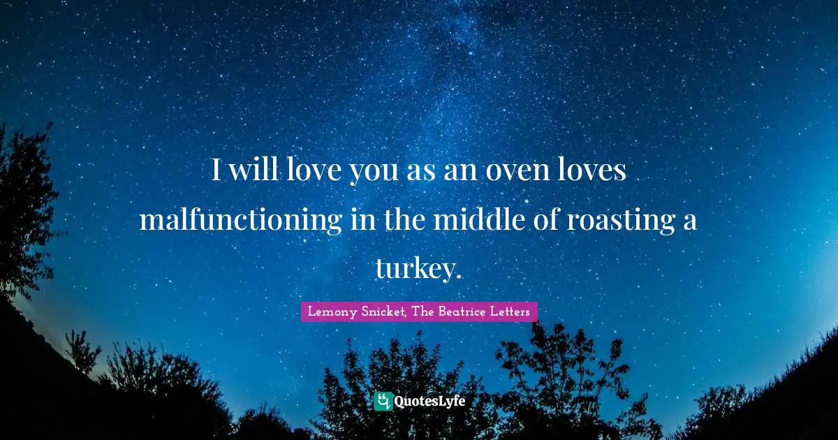 I will love you as an oven loves malfunctioning in the middle of roasting a turkey.