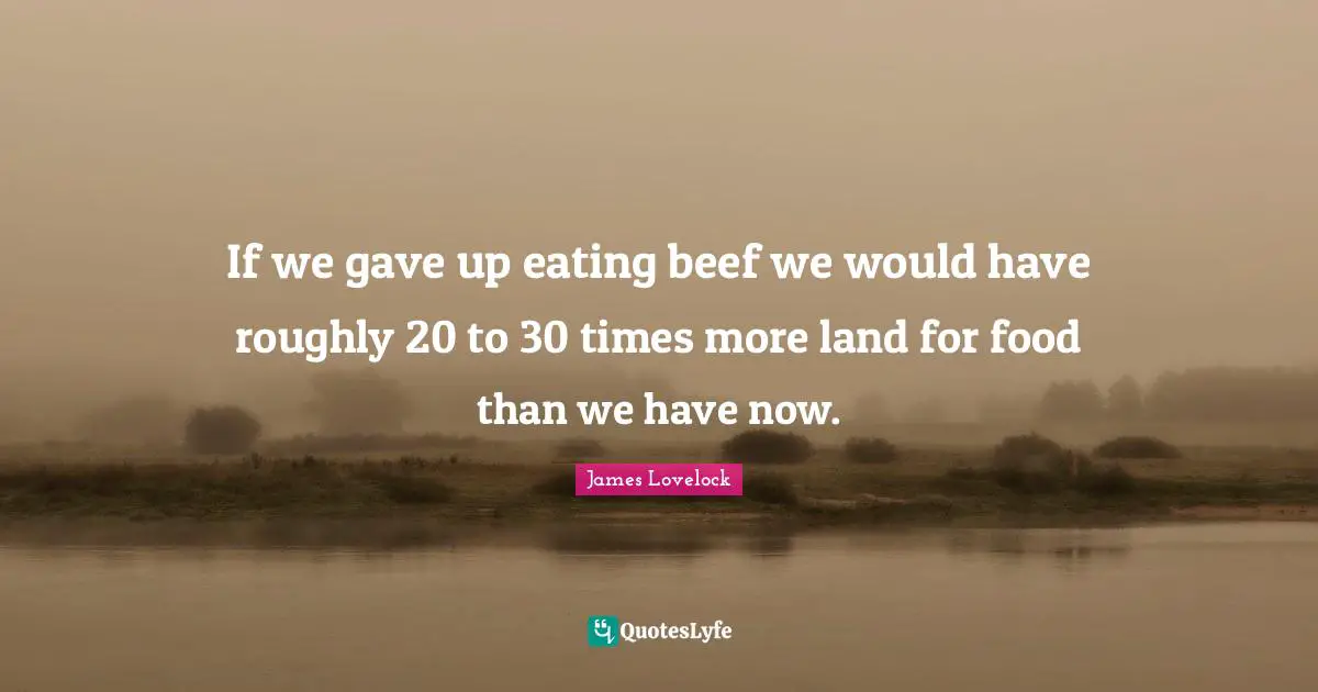 James Lovelock Quotes: "If we gave up eating beef we would have roughly 20 to 30 times more land for food than we have now."