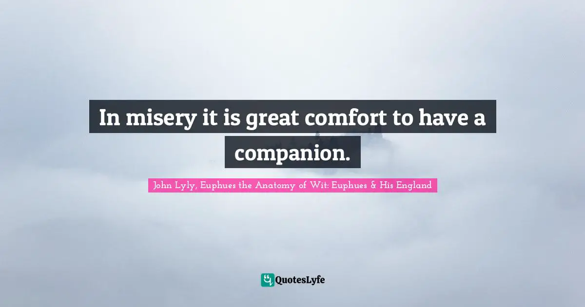 In misery it is great comfort to have a companion.