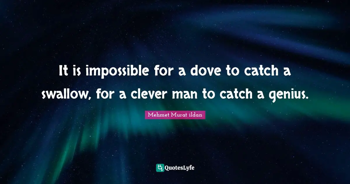 It is impossible for a dove to catch a swallow, for a clever man to catch a genius.