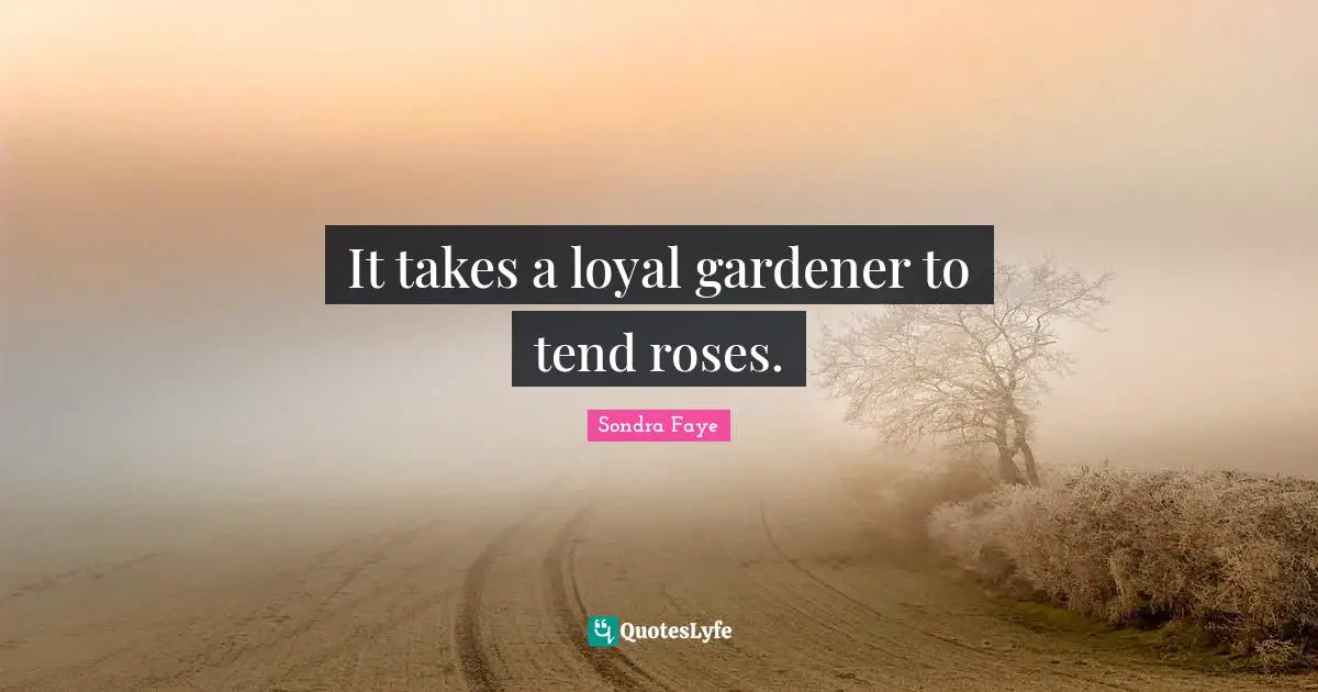 It takes a loyal gardener to tend roses.