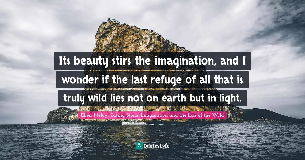 Its beauty stirs the imagination, and I wonder if the last refuge of all that is truly wild lies not on earth but in light.