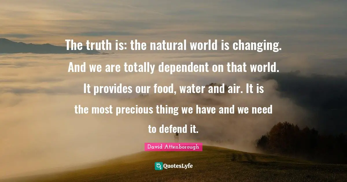 David Attenborough Quotes: The truth is: the natural world is changing. And we are totally dependent on that world. It provides our food, water and air. It is the most precious thing we have and we need to defend it.