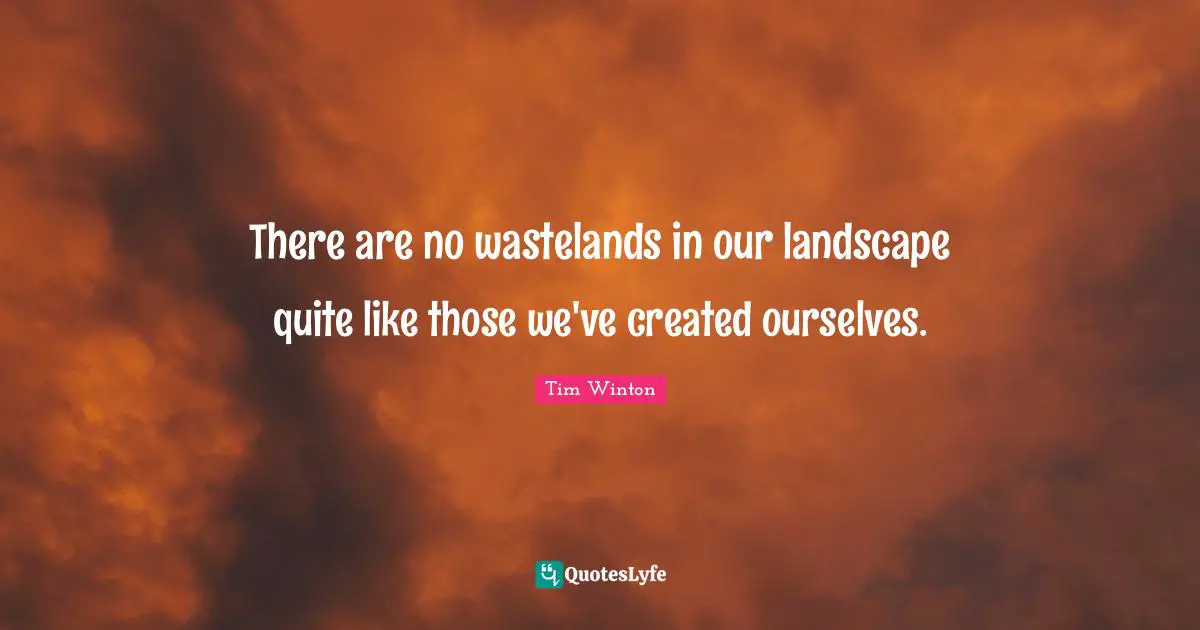 There are no wastelands in our landscape quite like those we've created ourselves.