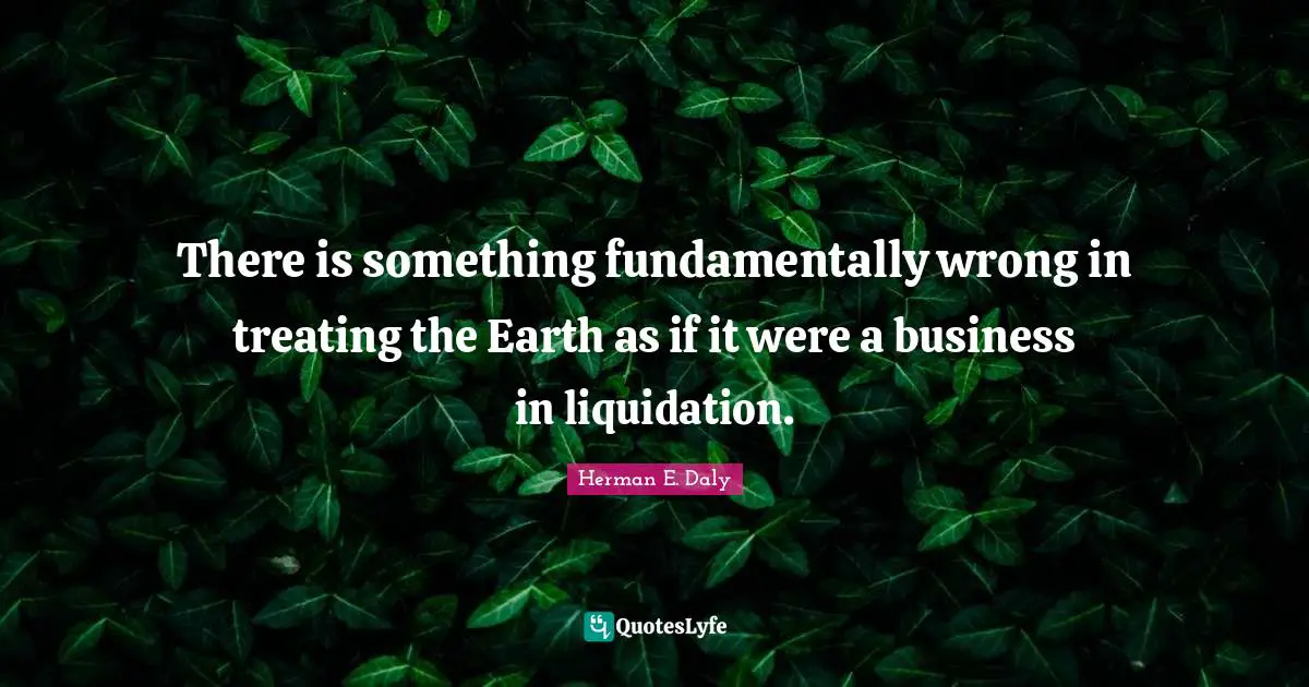 There is something fundamentally wrong in treating the Earth as if it were a business in liquidation.