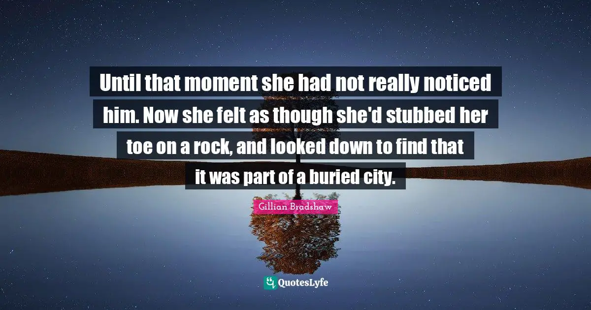 Until that moment she had not really noticed him. Now she felt as though she'd stubbed her toe on a rock, and looked down to find that it was part of a buried city.