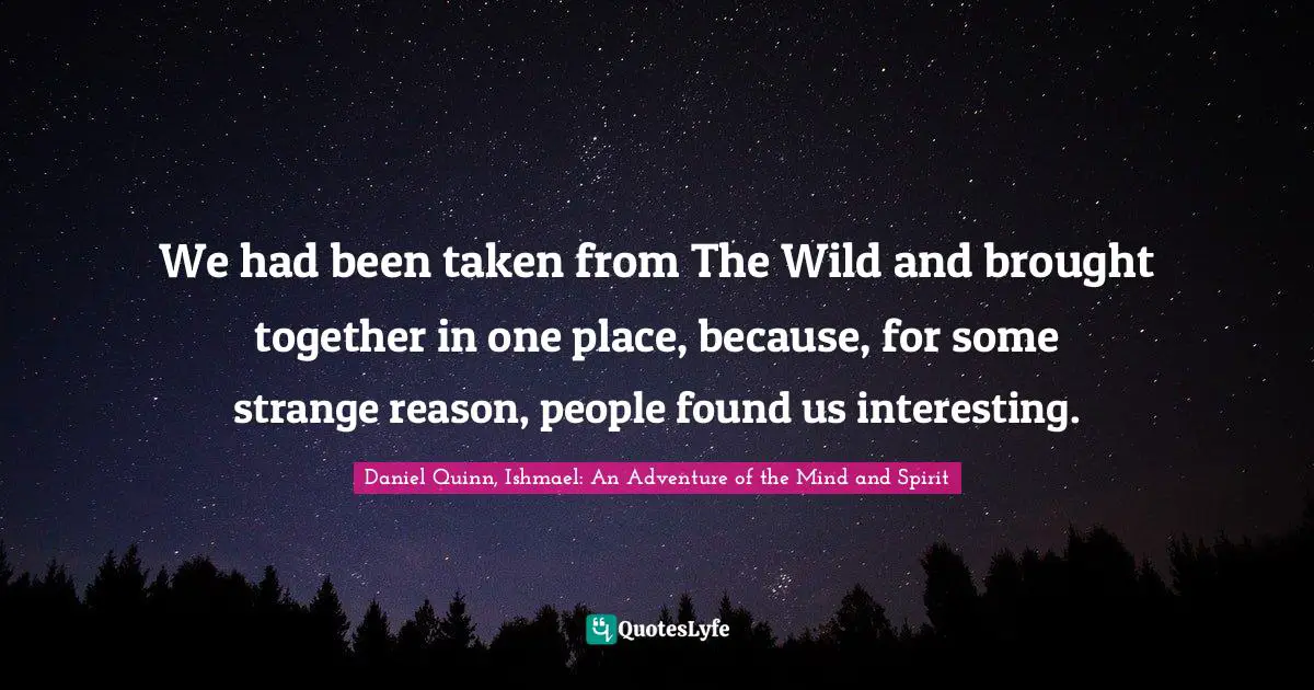 We had been taken from The Wild and brought together in one place, because, for some strange reason, people found us interesting.