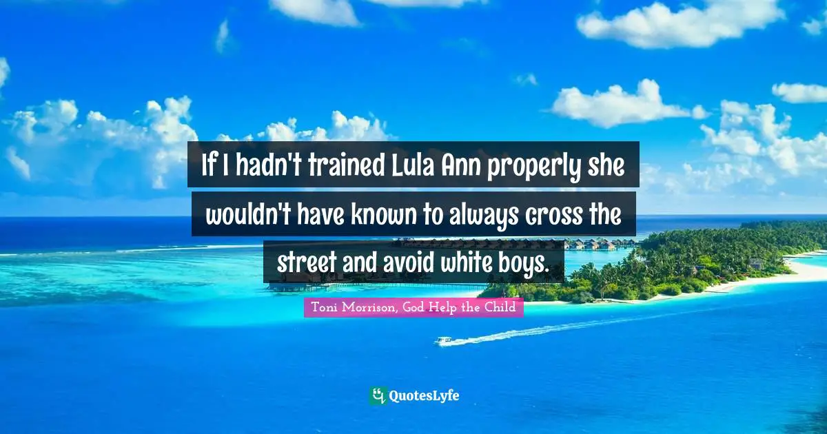 If I hadn't trained Lula Ann properly she wouldn't have known to always cross the street and avoid white boys.