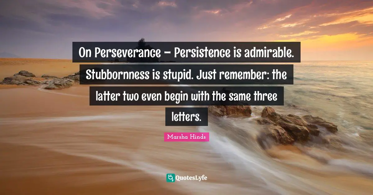 On Perseverance – Persistence is admirable. Stubbornness is stupid. Just remember: the latter two even begin with the same three letters.